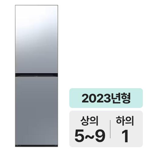 삼성전자 비스포크 에어드레서 DF24CB9600MR