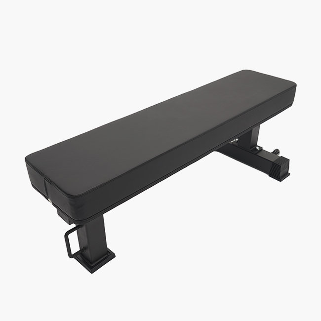 플러그피트니스  자이언트 평벤치