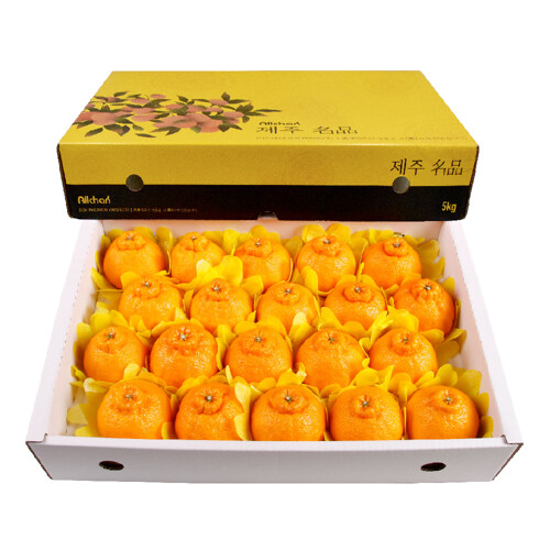 삼다몰  제주 한라봉 중과 19~23개(과) 5kg