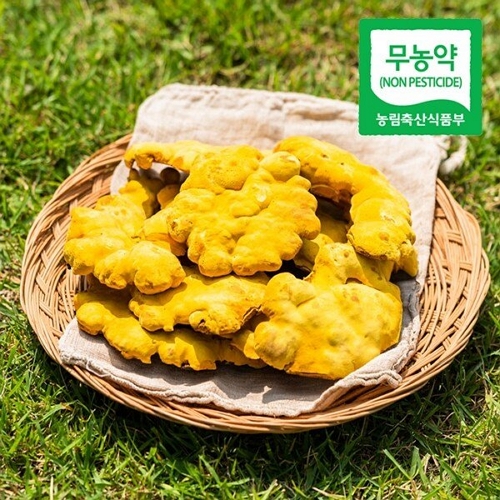 웰굿 무농약 장수 상황버섯 100g [1개] - 에누리 가격비교