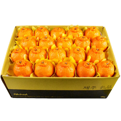 삼다몰  제주 한라봉 중과 38~47개(과) 10kg