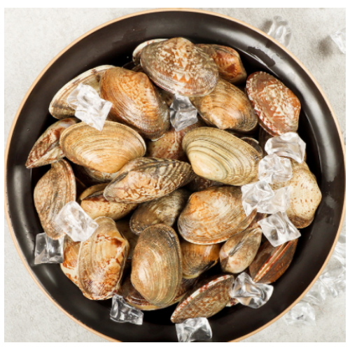 마산푸드  남해안 왕 바지락 1kg