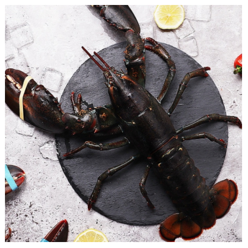 마산푸드  활 랍스터 700g내외