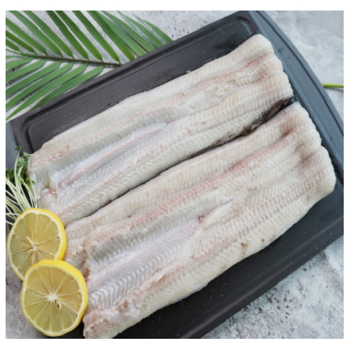 마산푸드  자포니카 민물장어 특대 1kg