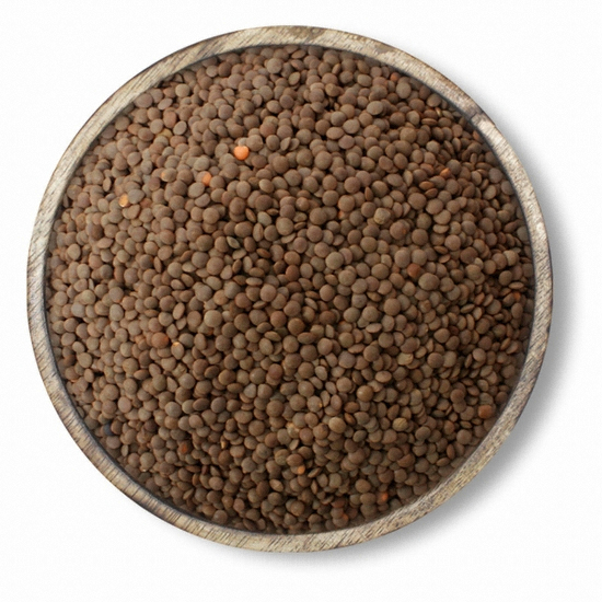 인차  렌틸콩 1kg