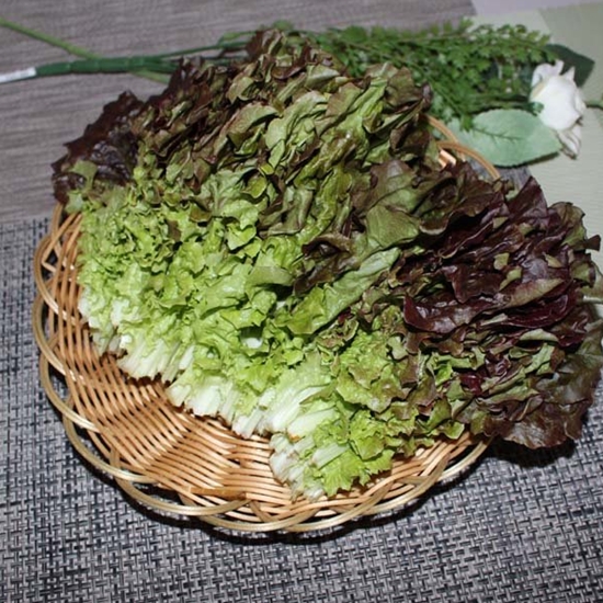 팜웨이  적상추 4kg