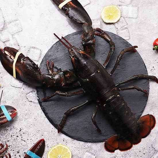 마산푸드  활 랍스터 500g내외