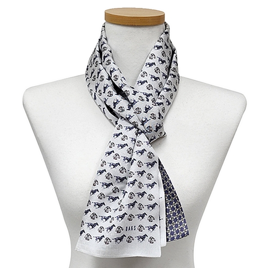 닥스 실크 스카프_SKD012