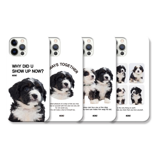 코쿼드  아이폰14 플러스 9C9C 바둑이 슬림케이스