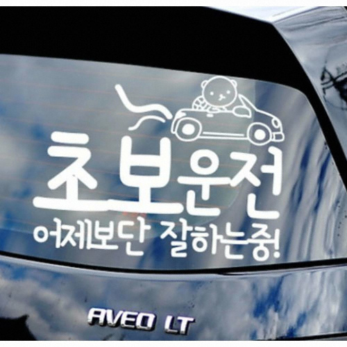 카티커  (520) 어제보다 잘하는중 초보운전 스티커
