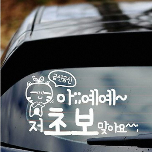 카티커  (481) 아예예 초보맞아요 초보운전 스티커