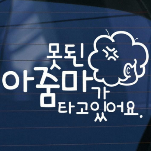 카티커  (407) 못된 아줌마가 타고 있어요 스티커