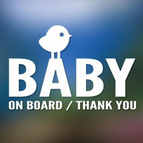 퍼즈  70 영문 병아리 BABY ON BOARD 스티커