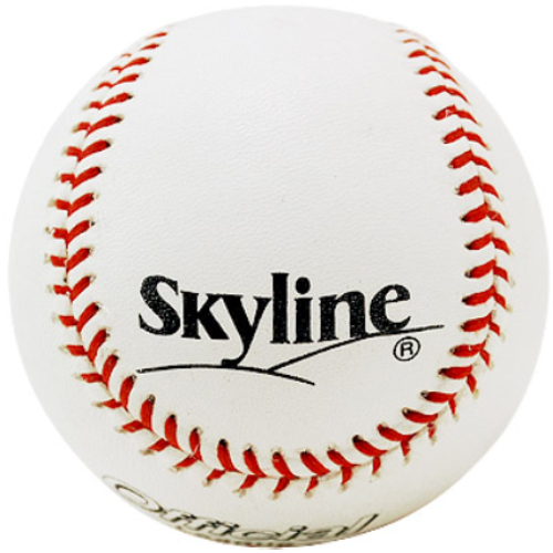 스카이라인  하드볼 AAK100