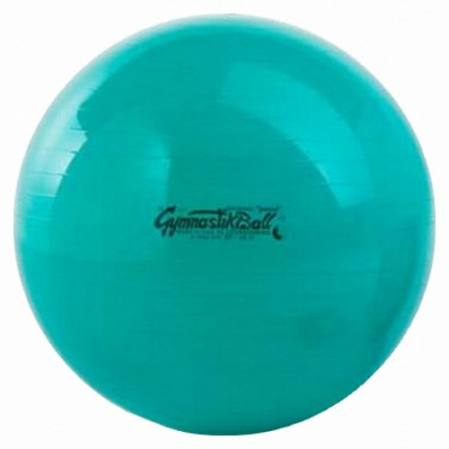 레드라곰마  짐네스틱 짐볼 스탠다드 65cm