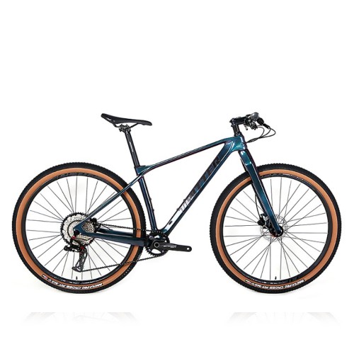 트위터  M6 RS 풀카본 변색 29 (2022년형)