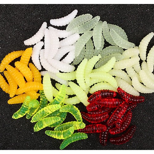 에코벨  구더기웜 50개