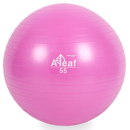 우성레포츠 아리프 안티버스트 짐볼 55cm