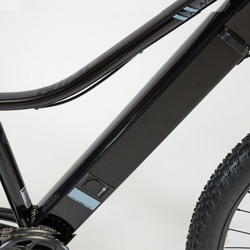 알톤스포츠  전기자전거 배터리 10Ah