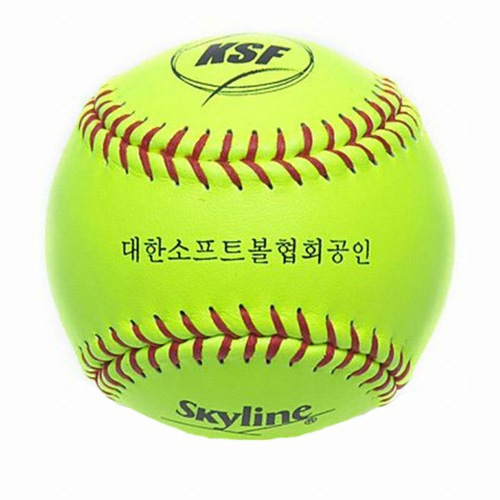 스카이라인  POK-L47V