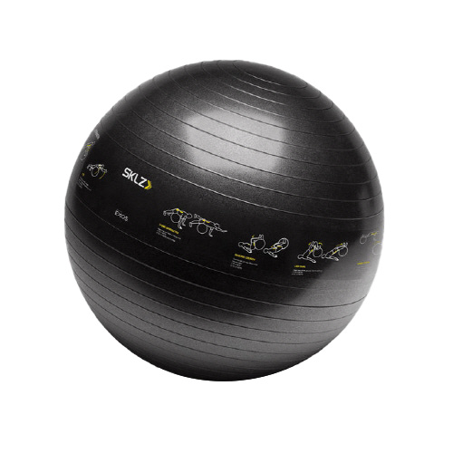 스킬즈  트레이너 짐볼 65cm