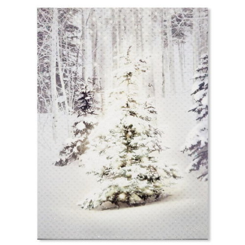 홀마크  크리스마스 카드 XPX2206