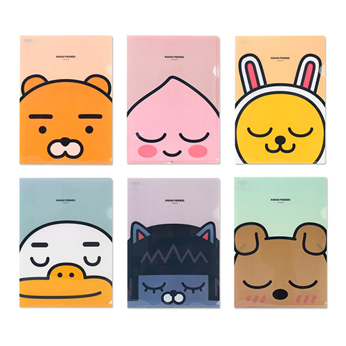 아이콘스 카카오프렌즈 L홀더