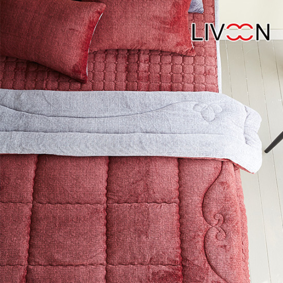 리브온(LIVOON) 프레아 극세사 차렵이불