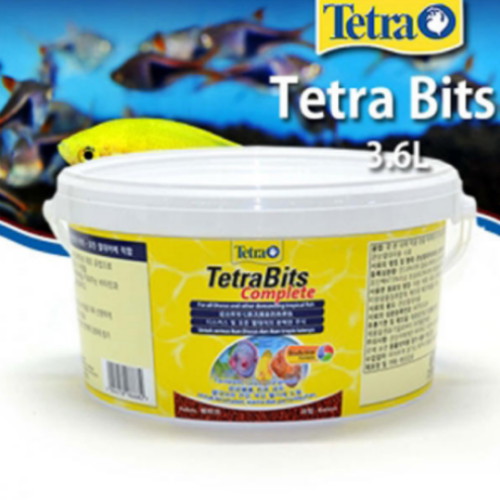 테트라 비트 대용량