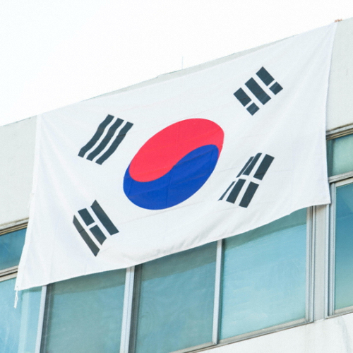 파티쇼  초대형 태극기 2호 306x204