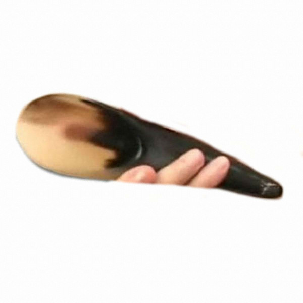 렉스모아 고급원뿔괄사