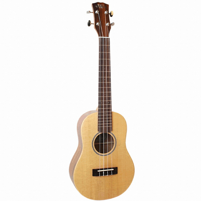 와일드우드  WT-600S