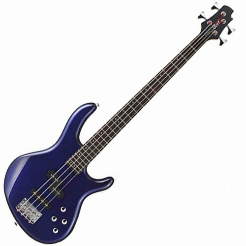 콜트  Action Bass Plus 앰프패키지
