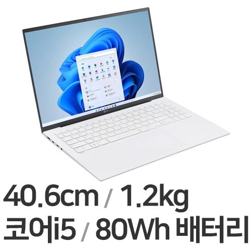 LG전자 2023 그램16 16Z90RU-GAOWK