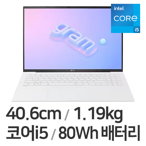 LG전자 2023 그램16 16ZD90RU-GX56K