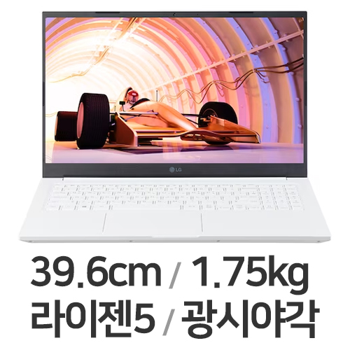 LG전자 2022 울트라PC 15UD40Q-GX5DK