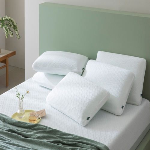 지누스 그린티 메모리폼 필로우