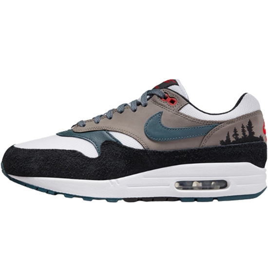 나이키 에어맥스 1 프리미엄 FJ0698-100