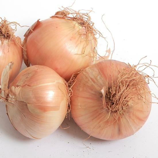 팜쿡  국내산 양파 특 10kg