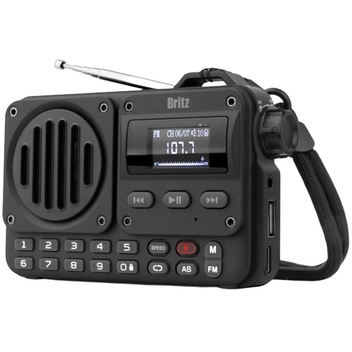 브리츠  BZ-LV1100