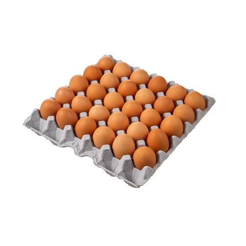 곰곰  무항생제 신선한 특란 30구