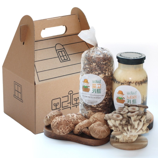도토리농업회사 무럭무럭 표고+느타리 버섯 키우기 키트 1개