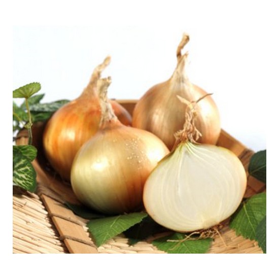 산정마을  국내산 양파 대 5kg