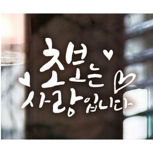 제제데코  자동차스티커 초보는 사랑입니다 하트