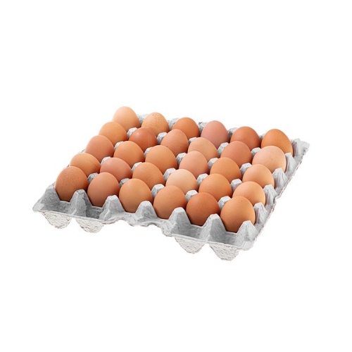 곰곰  무항생제 신선한 왕란 30구