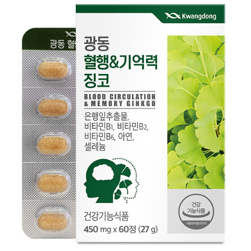 광동생활건강 광동 혈행 앤 기억력 징코 450mg 60정