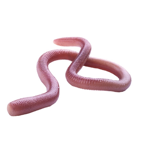 OSP  MMZ NAMI 미미즈(M)