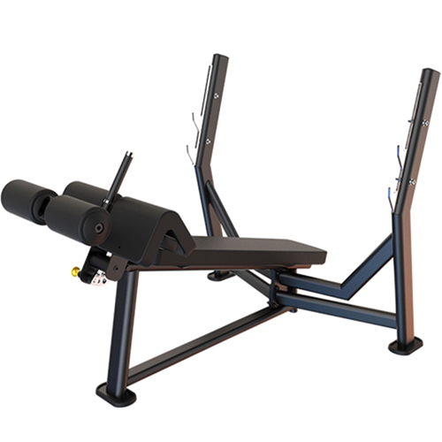 디랙스  올림픽 디클라인벤치 TWF-205