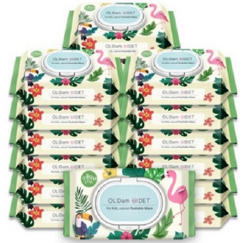 올담 키즈 비데물티슈 캡형 62매