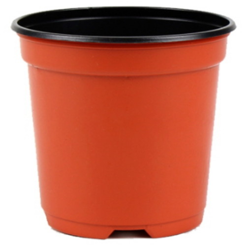 이색포트 13호 적색